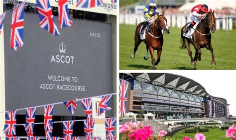 racing results ascot yesterday.